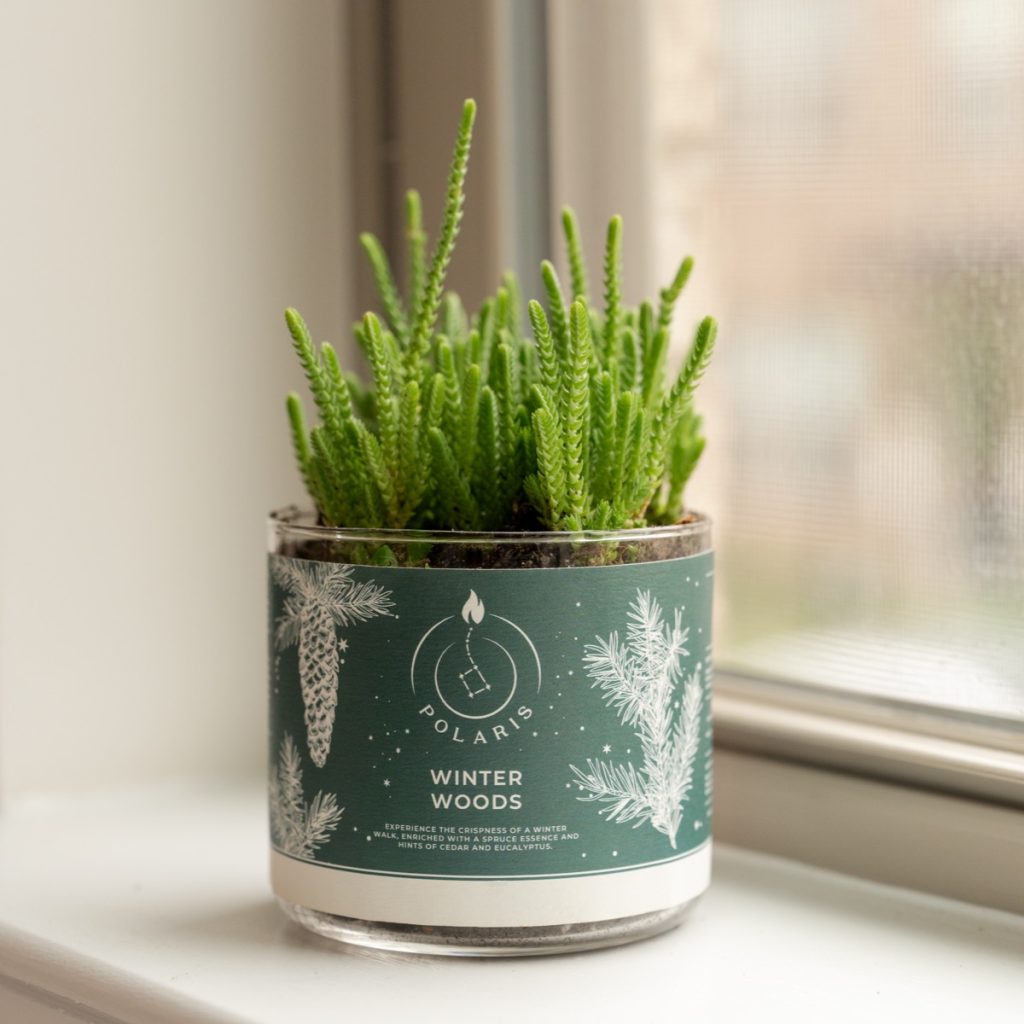 Reusable Candle Jar